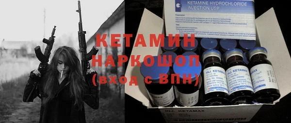 крисы Алексин