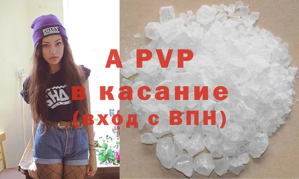 сатива Дубна