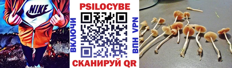 Псилоцибиновые грибы Psilocybe  дарнет шоп  Инта 