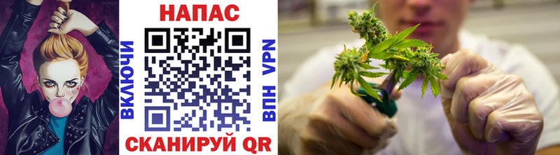 дарнет шоп  Инта  Канабис OG Kush 
